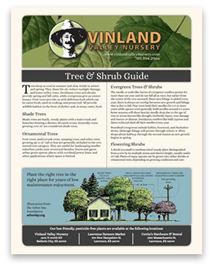 Tree & Shrub Guide
