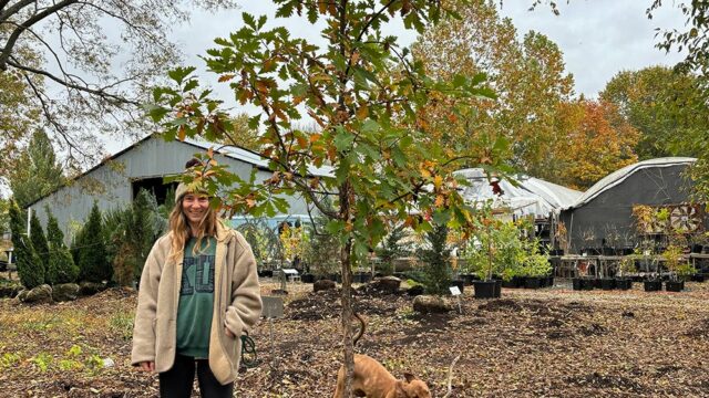 Vinland Valley Nursery - Organic Plant Nursery - Baldwin City, KS