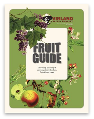 A pdf about growing different kinds of fruit.